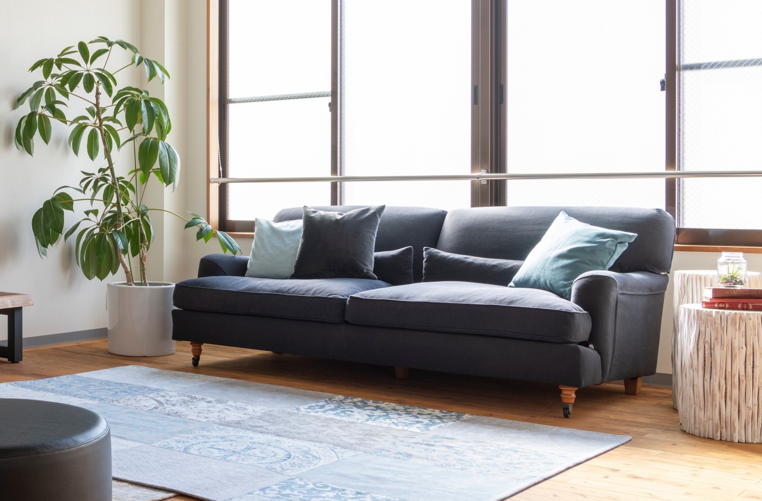 RAFFLES sofa / DePadova | 四国 徳島の家具・インテリア | LIFE 