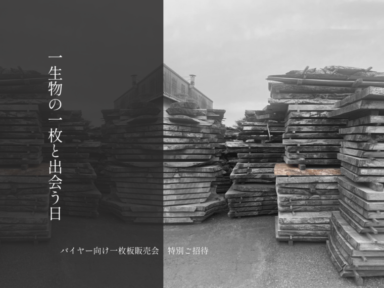 一生物の一枚と出会う日のイメージ画像